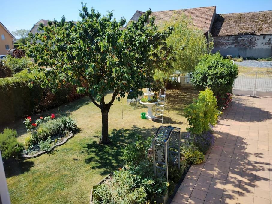 Apartment Alsace *